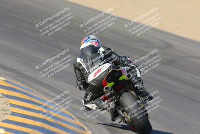 media/Nov-12-2023-SoCal Trackdays (Sun) [[5d1fba4e7d]]/Turn 10 Backside (115pm)/